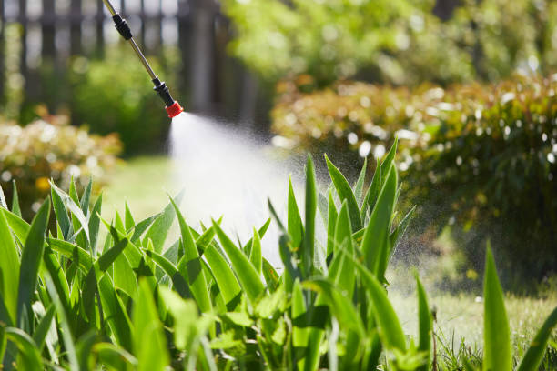 24/7 Emergency Mosquito Control experts in Paisley, FL