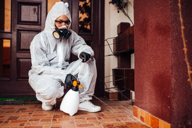 Reliable Mosquito Control contractor in Paisley, FL by Show Me Pest Control